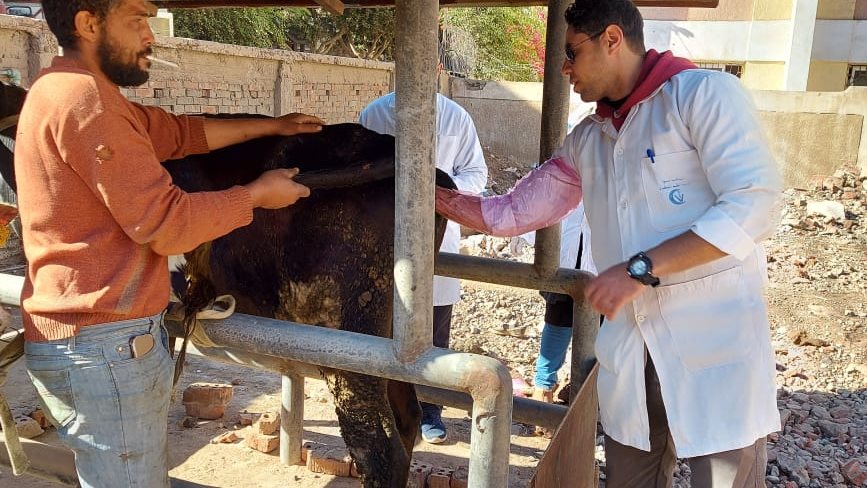 قوافل بيطرية