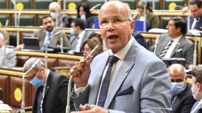  النائب السيد شمس الدين عضو مجلس النواب 