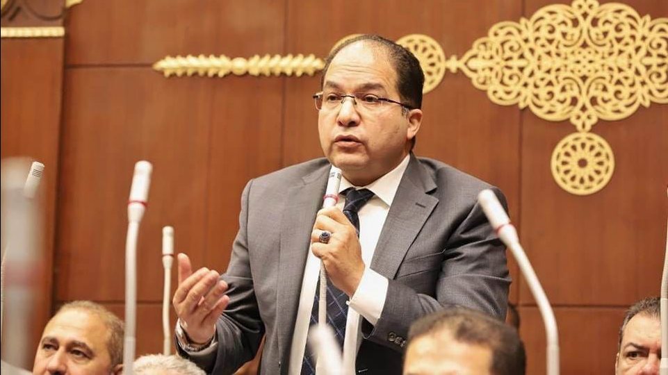 النائب عادل اللمعي ، عضو مجلس الشيوخ