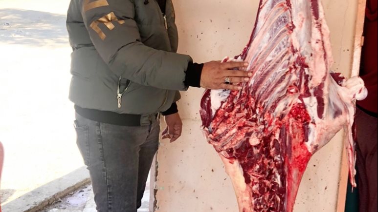 حملة تموينية