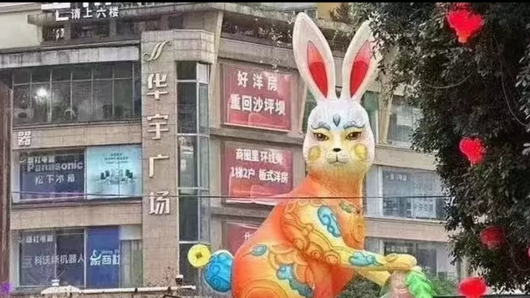 أرنب الصين العملاق