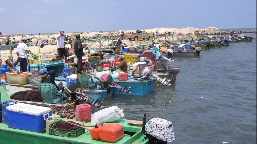 الصيادين العاملين في بحيرة البردويل 