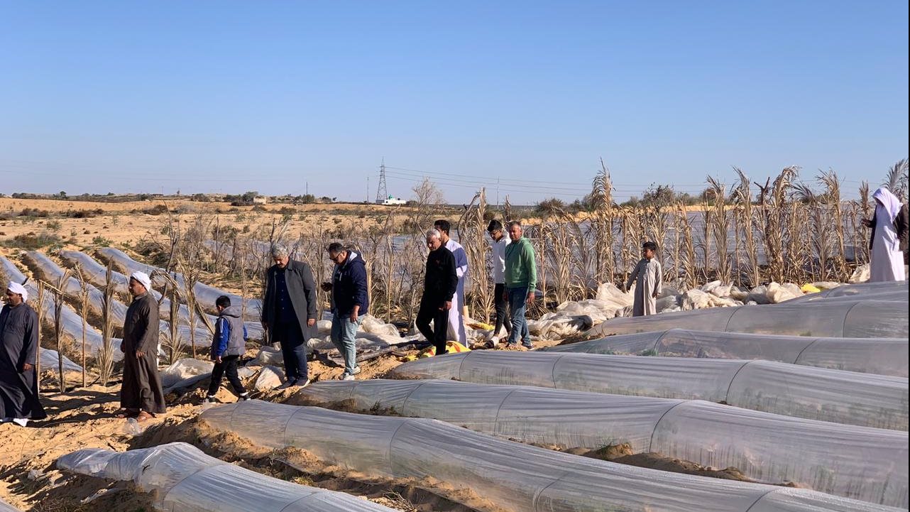 زراعات أسفل الصوب الزراعية بتجمع الغراء 
