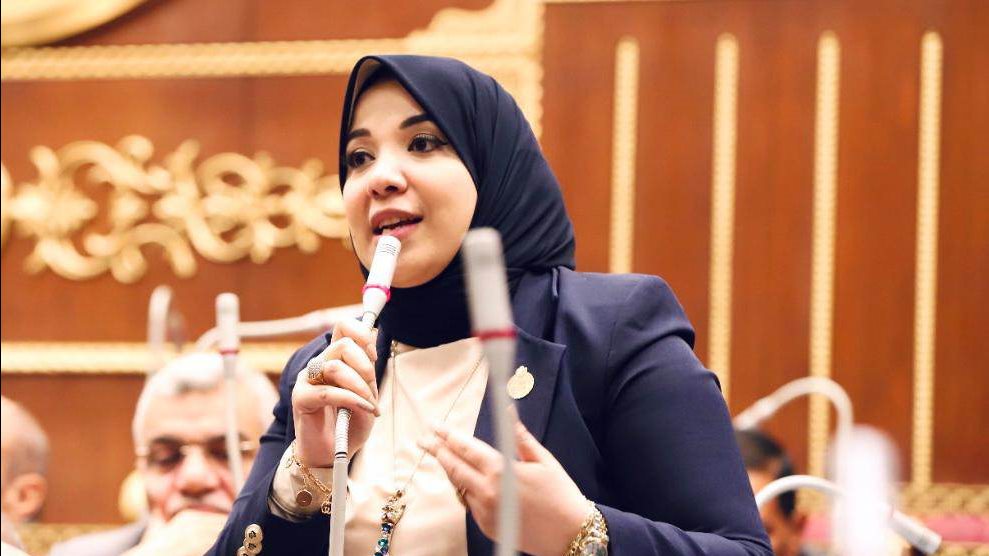 دينا هلالي، عضو مجلس الشيوخ