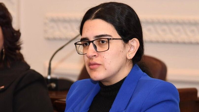  النائبة روان لاشين عضو لجنة العلاقات الخارجية بمجلس النواب