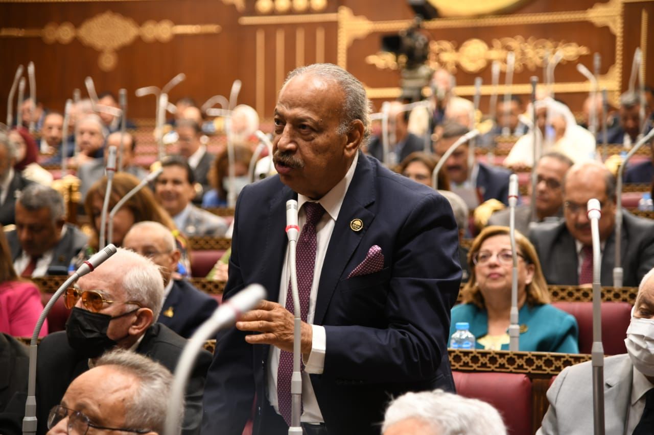 هاني العسال، عضو لجنة الإسكان والإدارة المحلية بمجلس الشيوخ