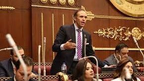 النائب محمد فريد