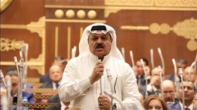 النائب فايز أبو حرب ، وكيل إسكان الشيوخ