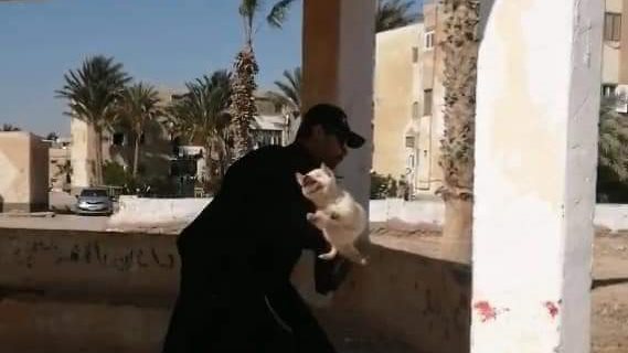 قاتل الكلاب الصغيرة 