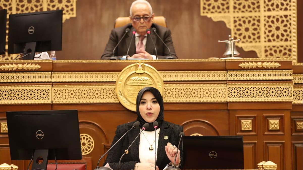 الدكتورة دينا هلالى، عضو مجلس الشيوخ