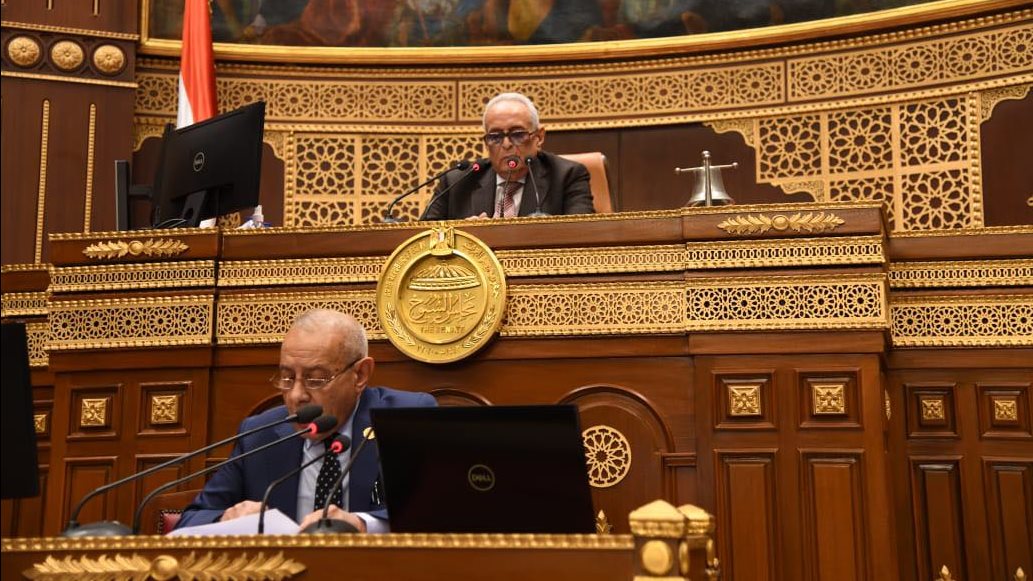 النائب عاطف علم الدين، عضو مجلس الشيوخ