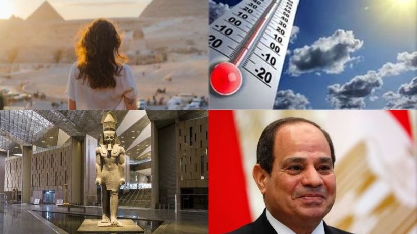 نشرة التوك شو