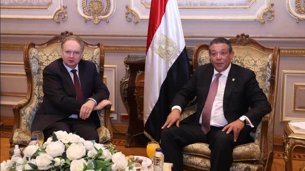 رئيس خارجية الشيوخ يستقبل سفير الإتحاد الإوروبى فى مصر