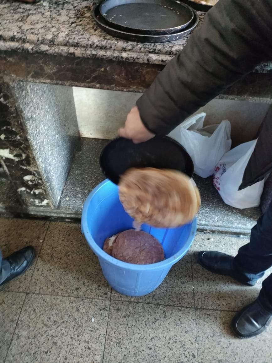 طعام فاسد