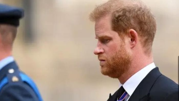 الامير هاري 