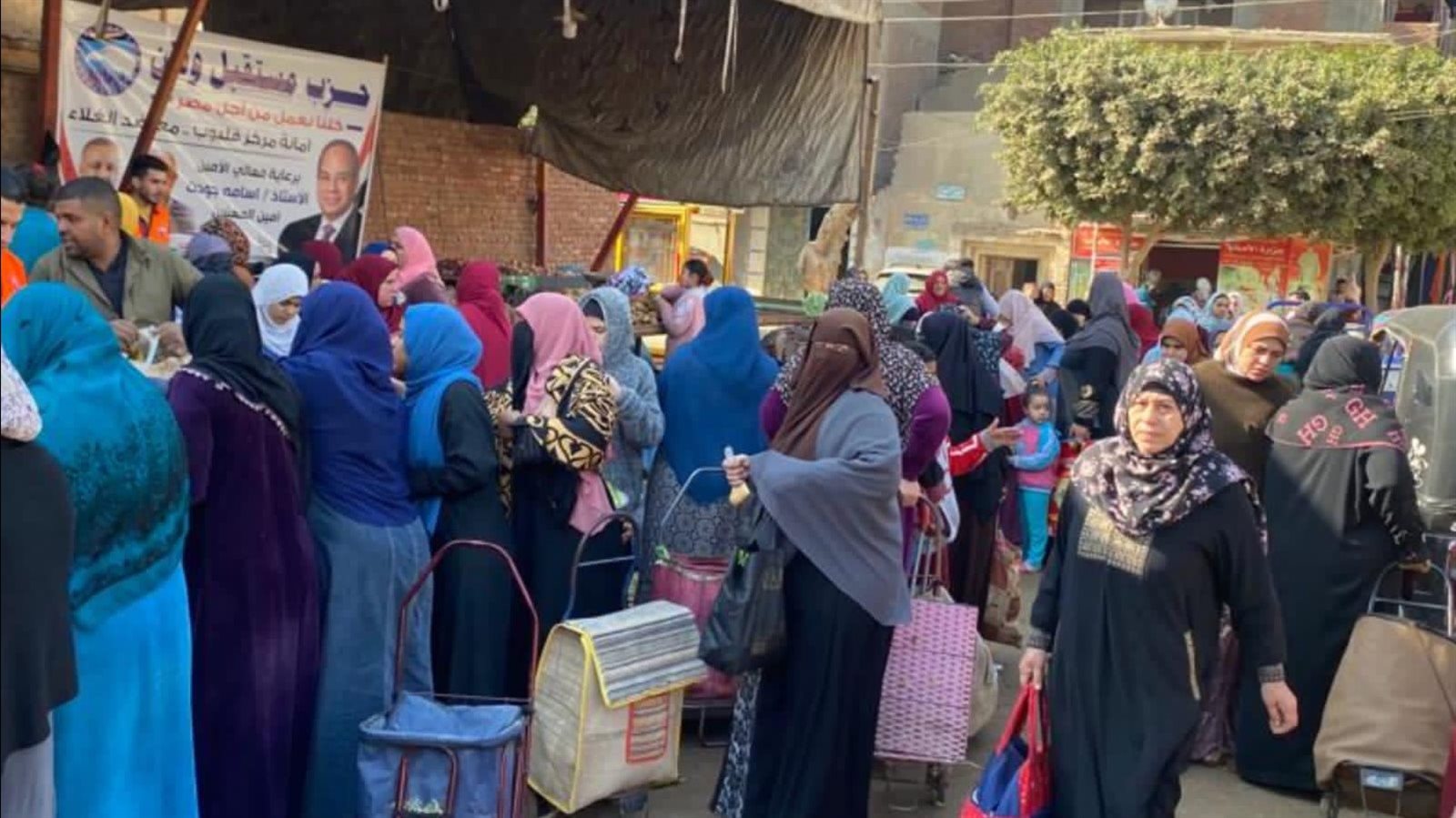 نشاط حزب "مستقبل وطن" فى المحافظات