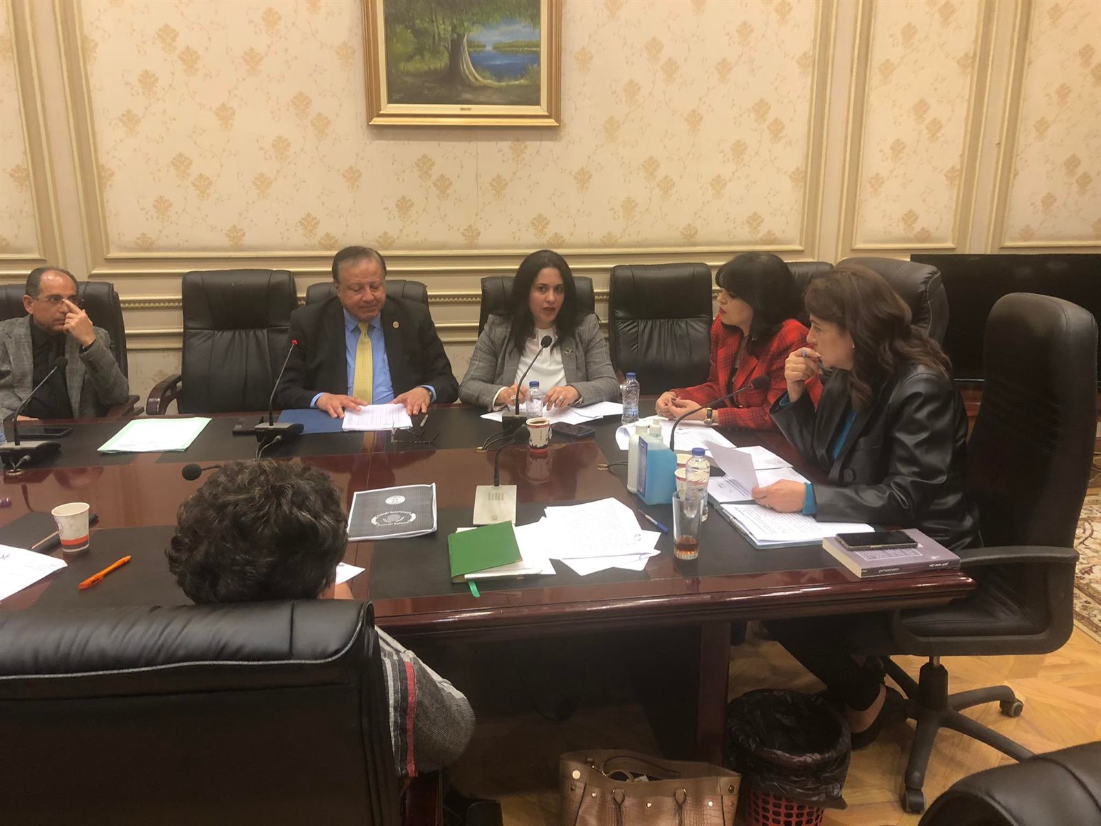 لجنة الثقافة و الاعلام بمجلس النواب