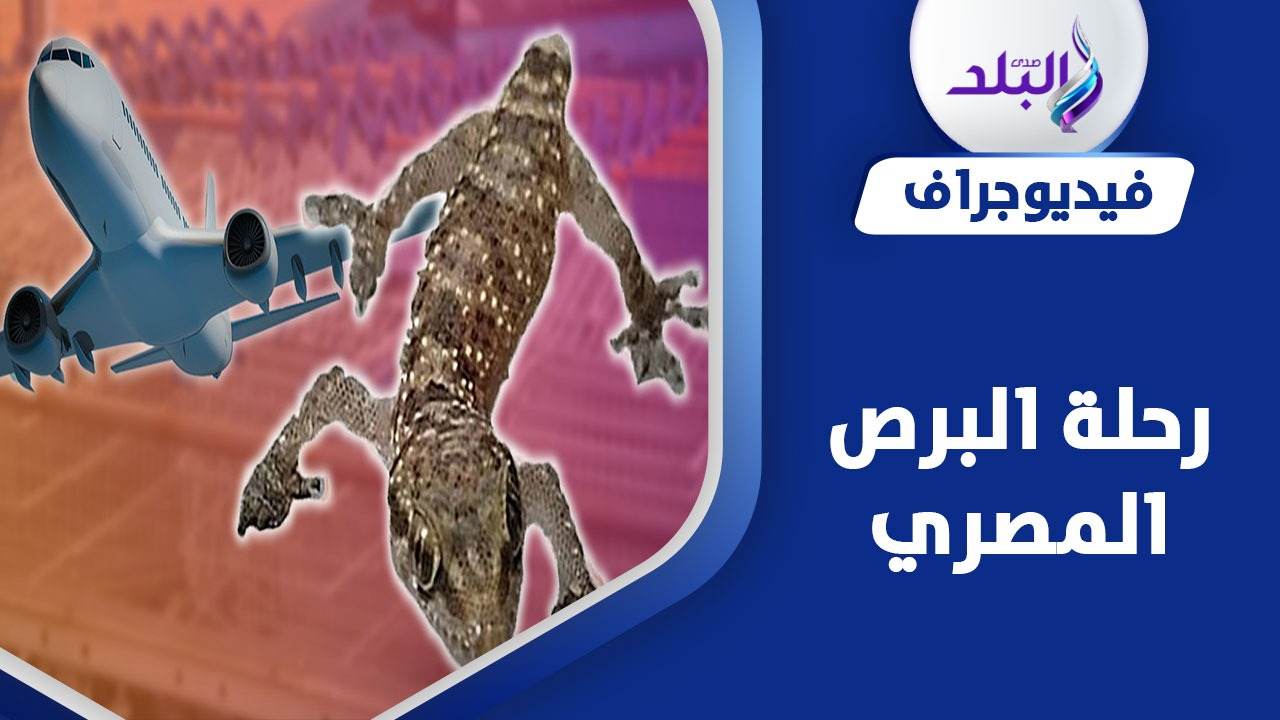 رحلة البرص المصري من القاهرة إلى لندن 