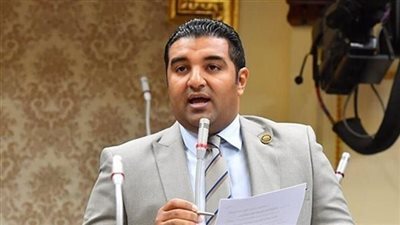 محمود عصام، عضو مجلس النواب