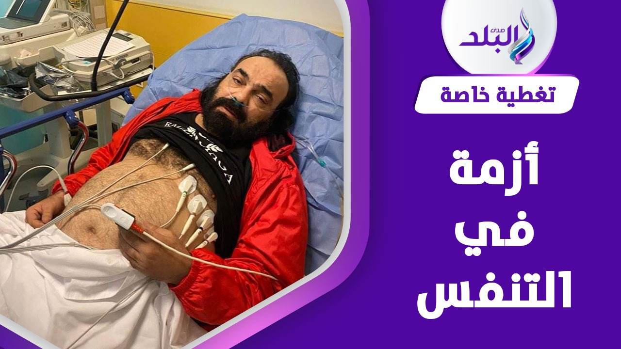 الفنان أبوالليف
