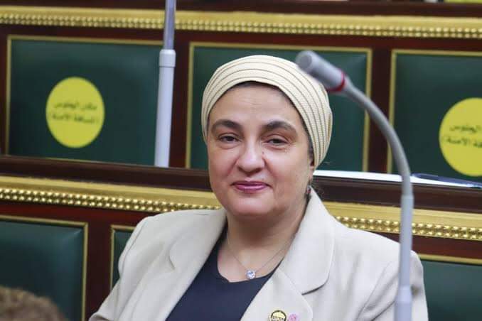 النائبة سميرة الجزار 