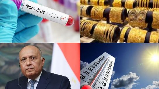 نشرة التوك شو