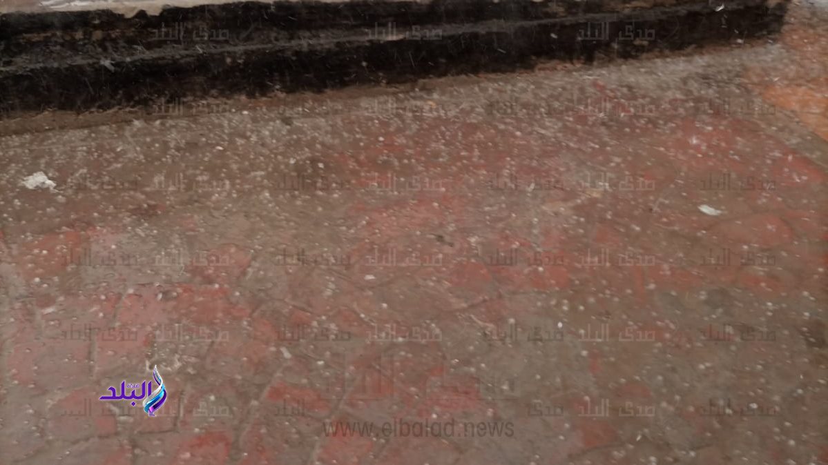 تساقط الثلوج على العامرية 