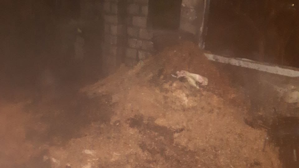 حريق مزرعة دواجن بأسيوط 