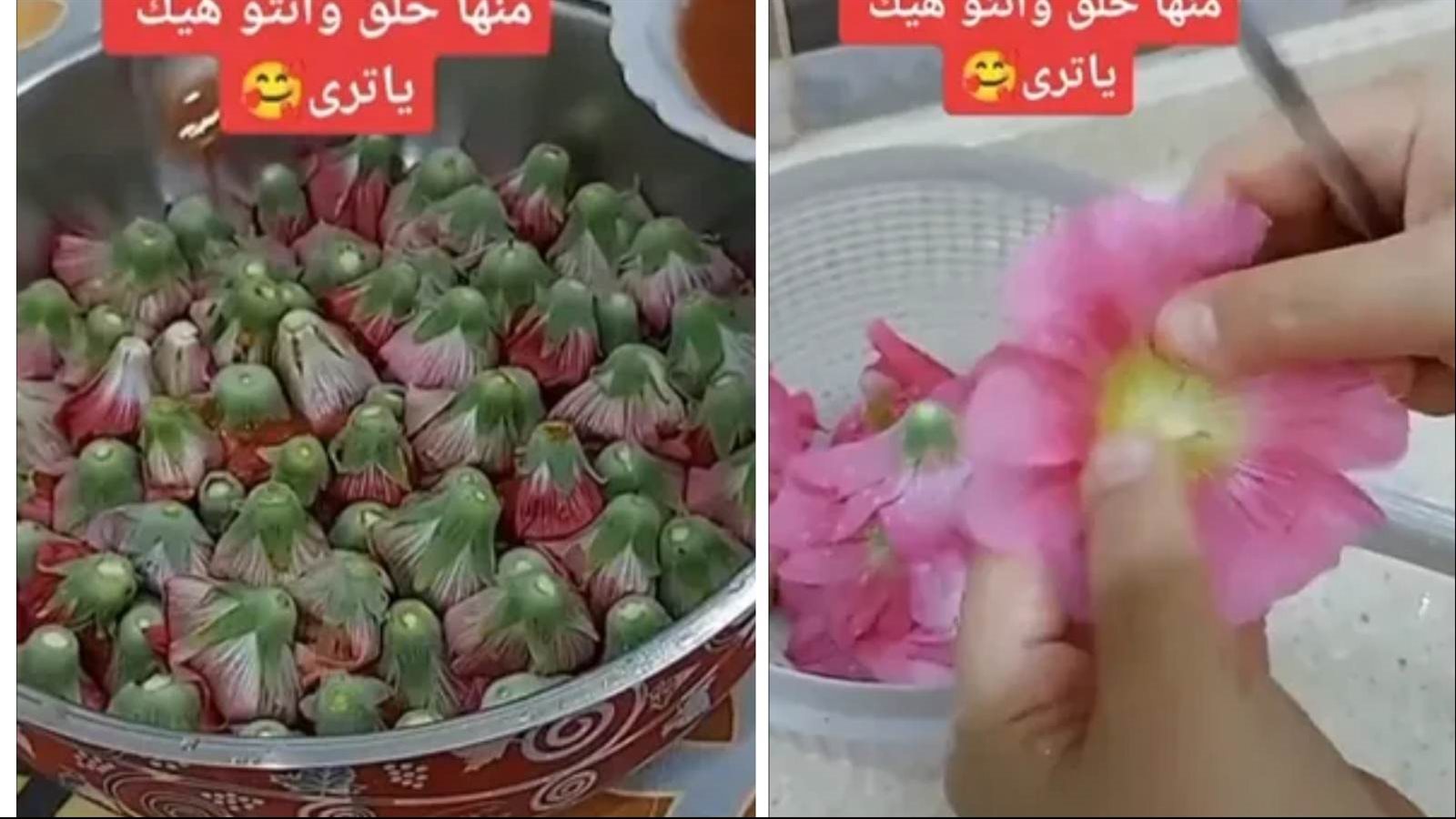 محشي الورد