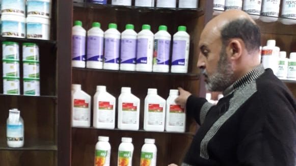 صورة أرشيفية