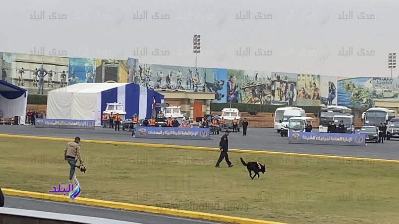 تدريبات الكلاب البوليسية