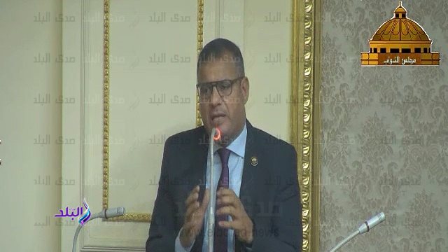 النائب محمد زكي 