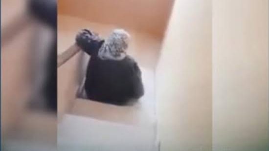 ارشيفية