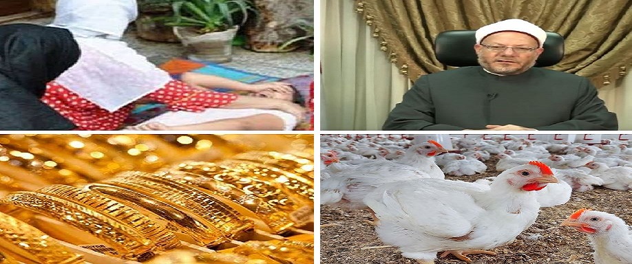 اخبار التوك شو 