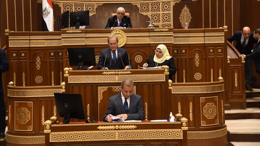 النائب محمد هيبة رئيس لجنة حقوق الانسان  بمجلس الشيوخ