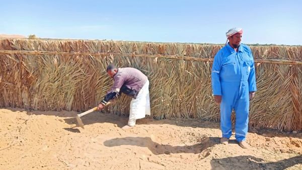 بوابة جديدة لسيوة