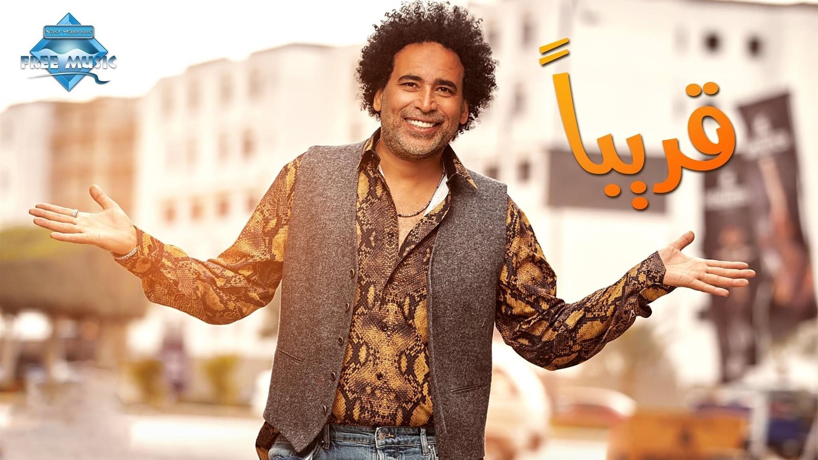 مصطفى شوقي
