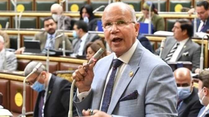  النائب السيد شمس الدين عضو مجلس النواب