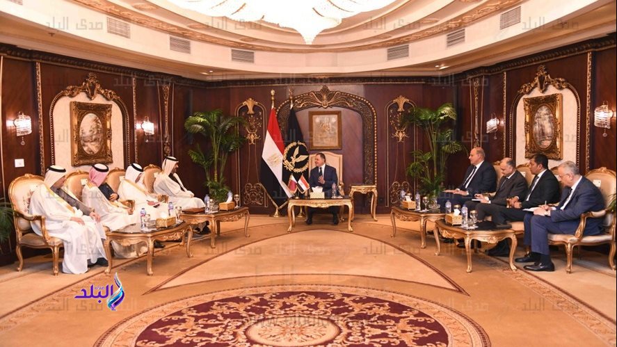 لقاء وزير الداخلية والوفد القطرى