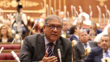 الدكتورعفت السادات، وكيل لجنة العلاقات الخارجية بمجلس الشيوخ