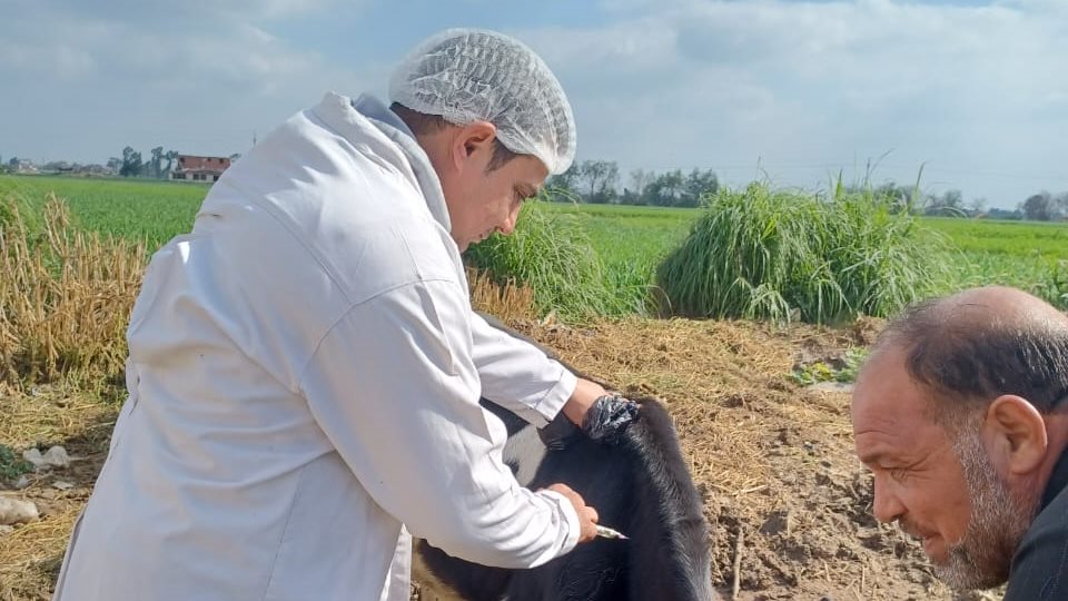 حملات بيطرية بالغربية