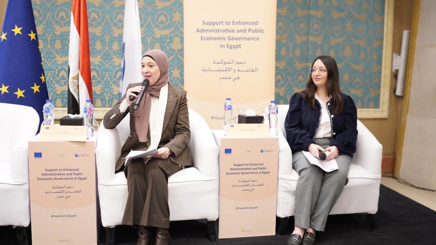 الدكتورة منى عصام، مساعد وزيرة التخطيط