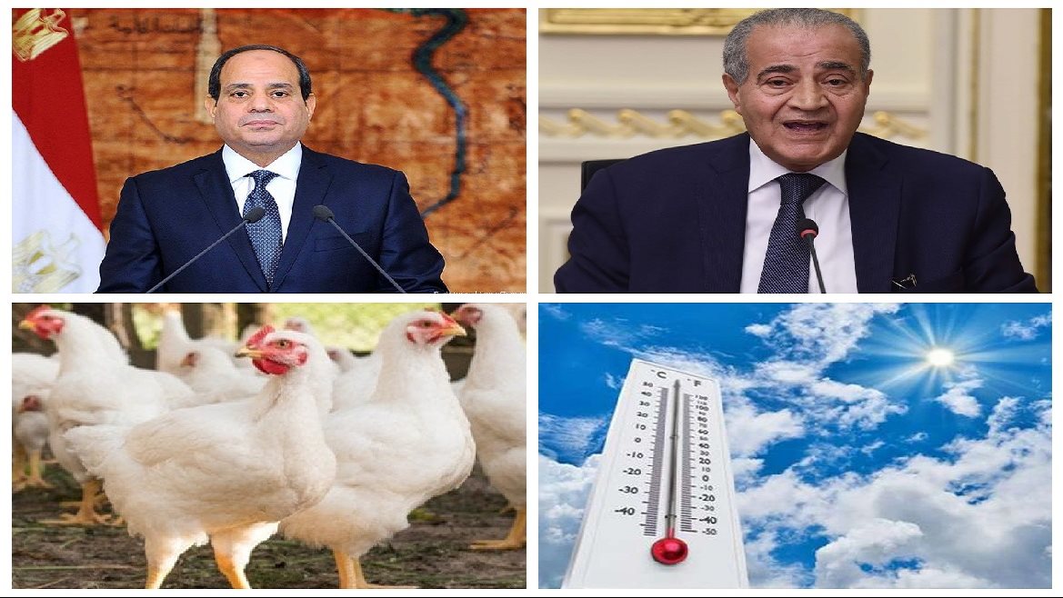 اخبار التوك شو