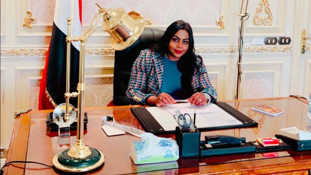  الدكتورة نيفين حمدي، عضو لجنة الشؤون الأفريقية بمجلس النواب
