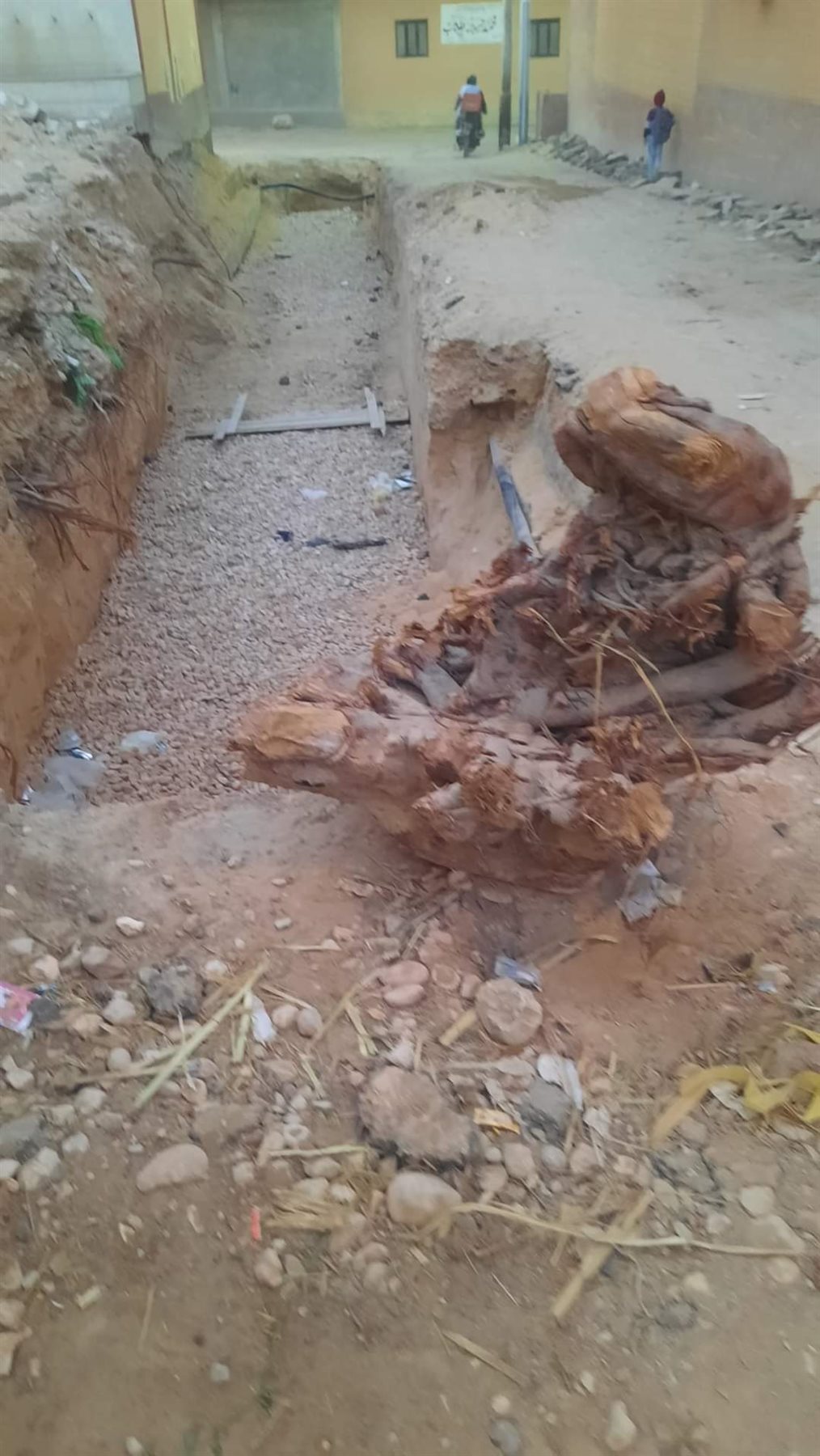 FB_IMG_1675332373219