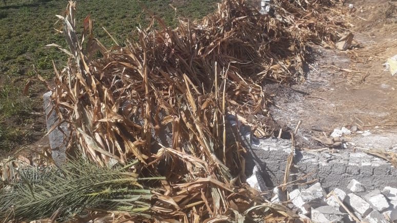  إزالة 13 حالة تعدٍ على أراضٍ زراعية وبناء مخالف بـ5 مراكز