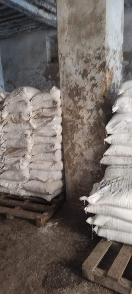 FB_IMG_1676134106731