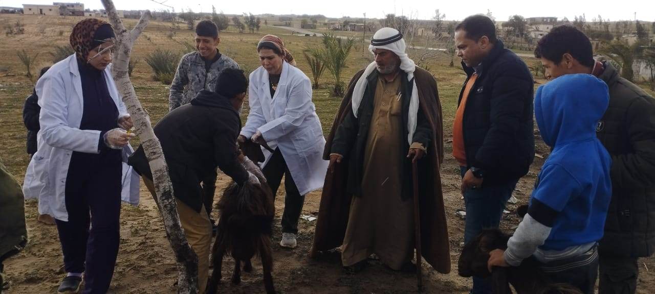 افلة بيطرية مجانية