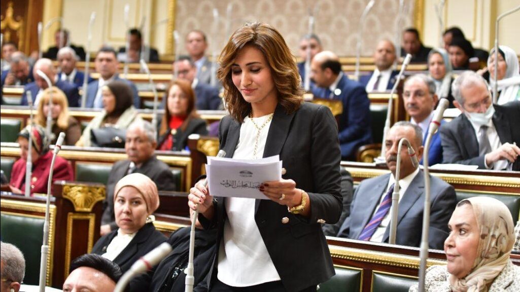  النائبة رغدة نجاتي، عضو مجلس النواب