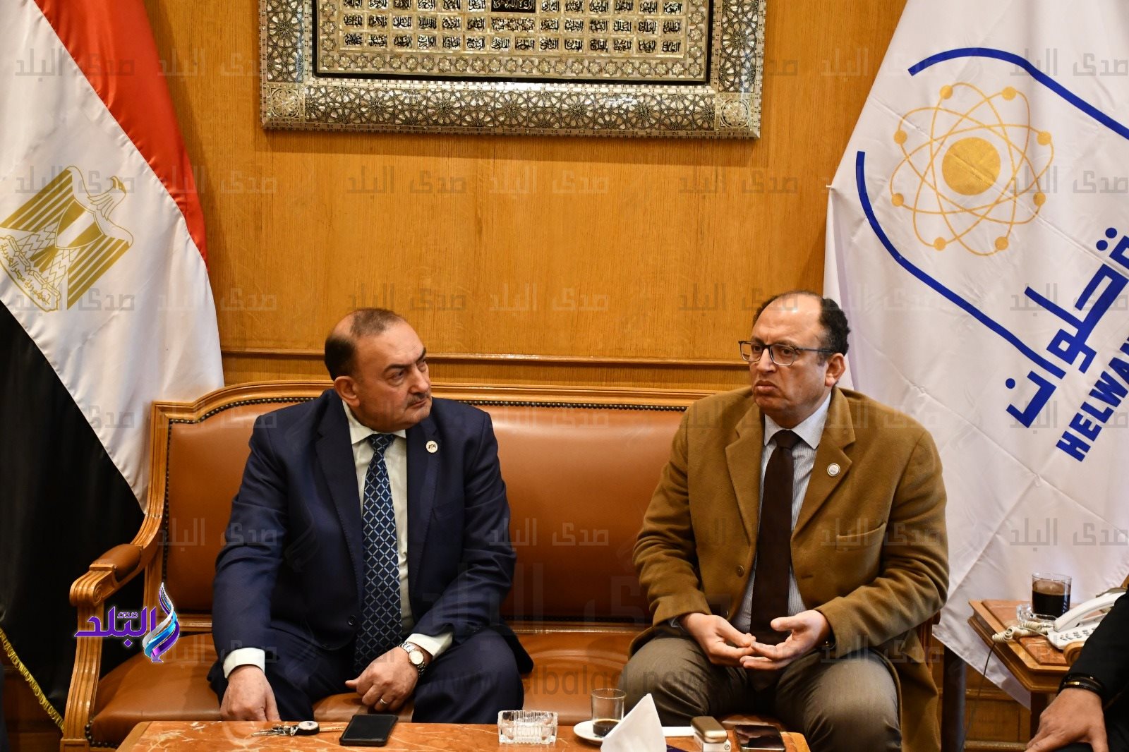 رئيس جامعة حلوان1